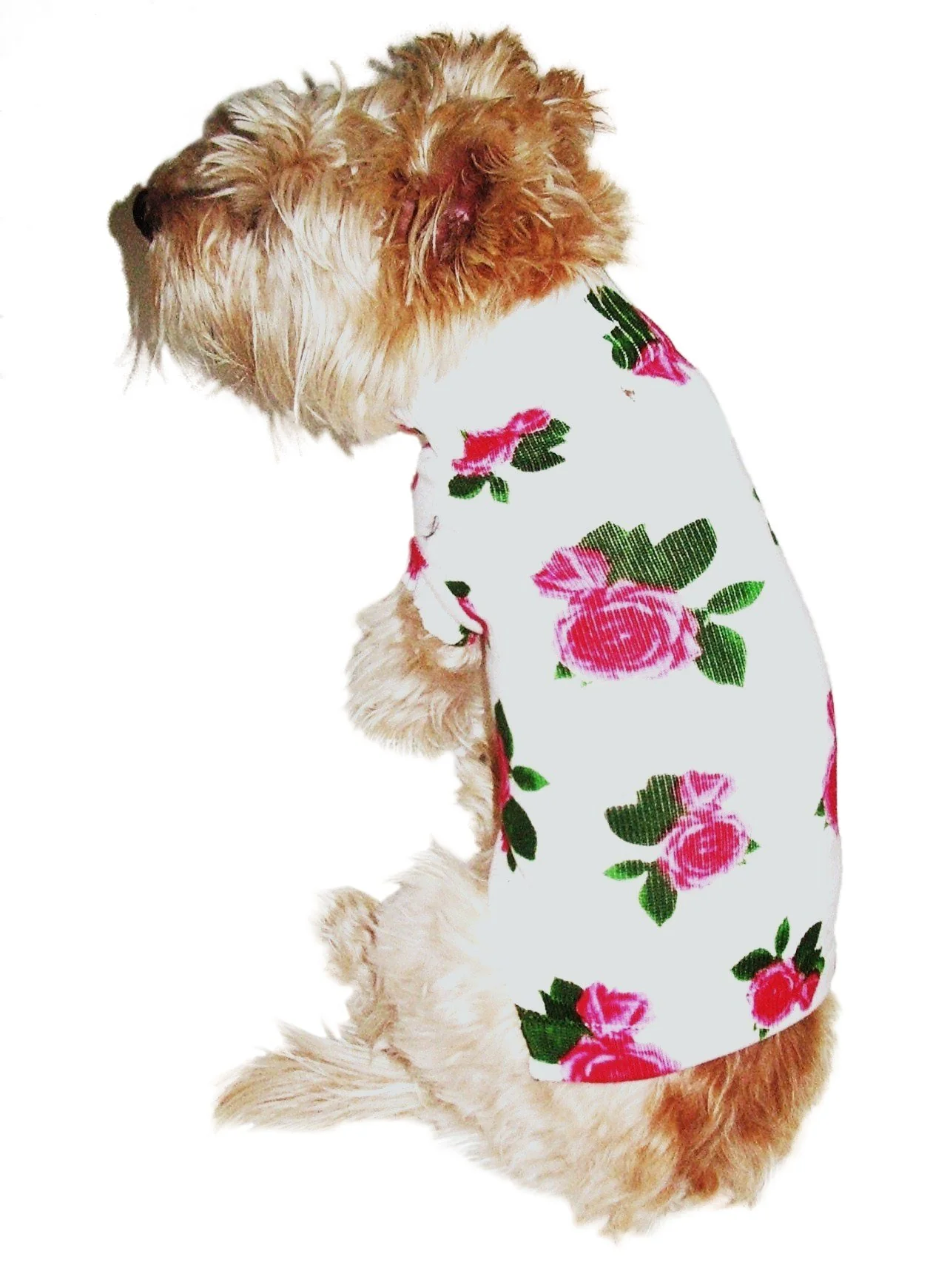 Fall Sale Collection